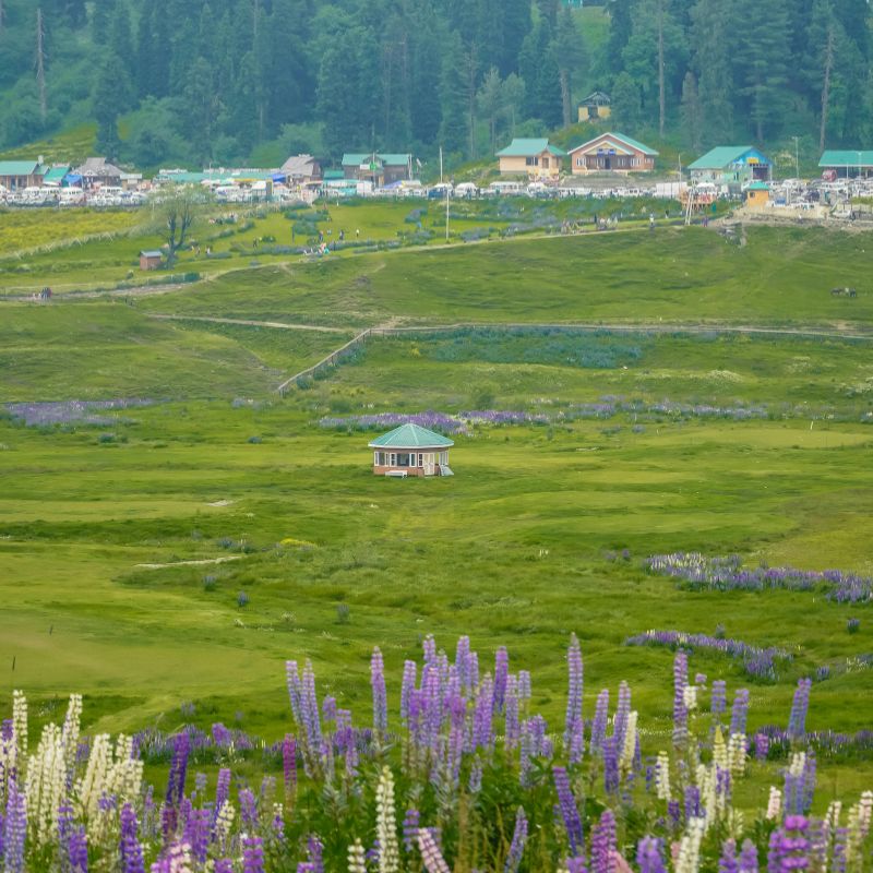 images/insta/Kashmir Tour Package 4 Nights 5 Days 8.jpg